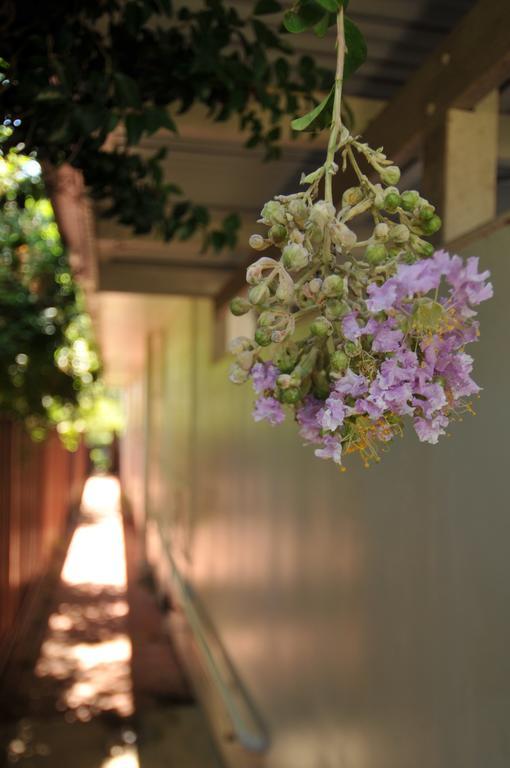 Pure Land Guest House Toowoomba Exterior photo